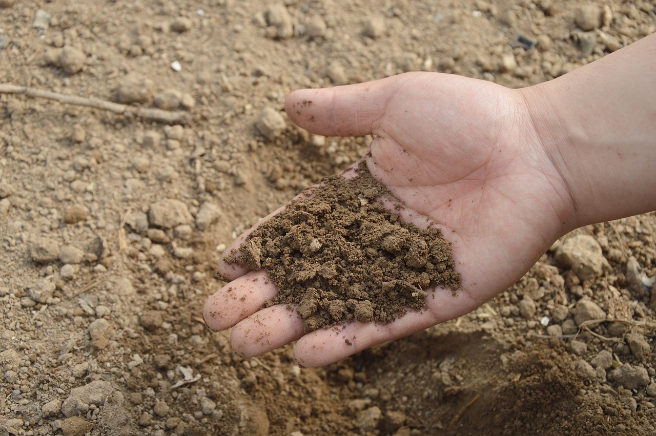 The Invisible Majority: Unraveling the Story of Soil Biodiversity